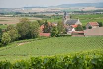 Charming boutique B&B near Reims on a Champagne estate