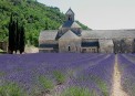 Provence and Riviera